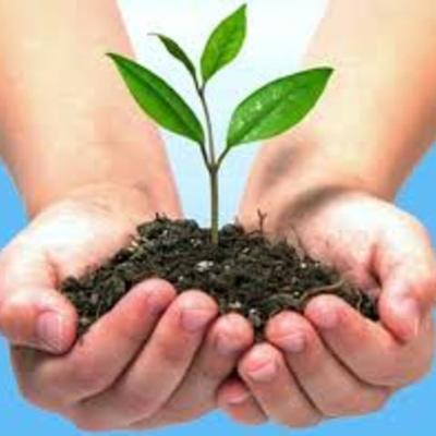 Timeline: Evolución de los beneficios tributarios sobre el medio ambiente