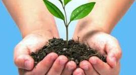 Timeline: Evolución de los beneficios tributarios sobre el medio ambiente