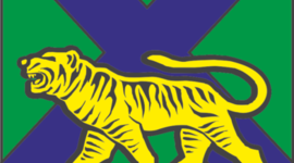 Timeline: Образование учебных заведений г. Владивостока