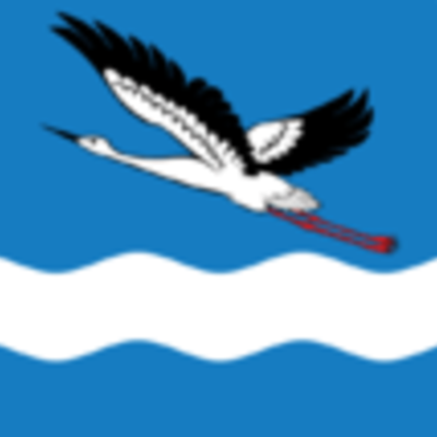 Timeline: История г. Амурска