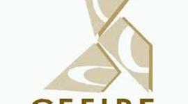 Timeline: Curso herramientas y servicios web