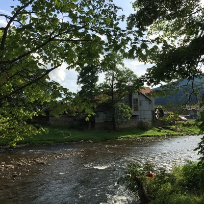 Timeline: Physical Development