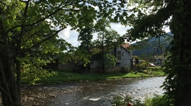 Timeline: Physical Development