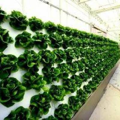 Timeline: SPA4 Tecnología