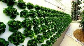 Timeline: SPA4 Tecnología