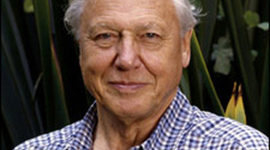 Timeline: David Attenborough