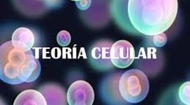 Timeline:  Teoría celular