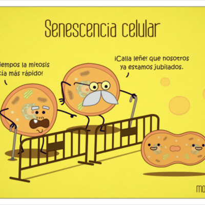 Timeline: Orígenes de la Teoría Celular