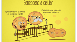 Timeline: Orígenes de la Teoría Celular