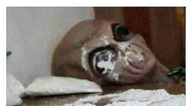 Timeline: Andre verdenskrig