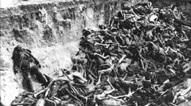 Timeline: Amargo balance de tragedias