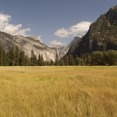 Timeline: SELENA'S LIFESPAN