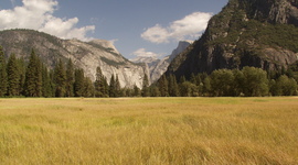 Timeline: SELENA'S LIFESPAN