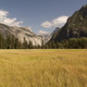 Yosemite valley