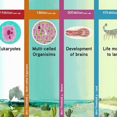 Timeline: Thresholds Of Life