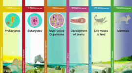 Timeline: Thresholds Of Life