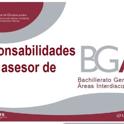 Timeline: Responsabilidades del Asesor de BGAI