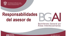 Timeline: Responsabilidades del Asesor de BGAI