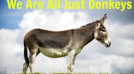 Timeline: Andrew Past