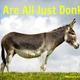 We are all donkeys