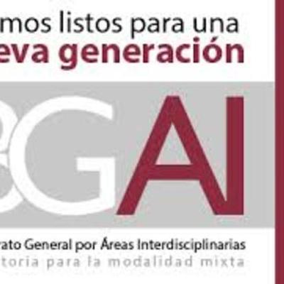 Timeline: RESPONSABILIDADES DEL ASESOR DEL BGAI