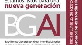 Timeline: RESPONSABILIDADES DEL ASESOR DEL BGAI