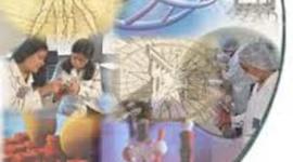 Timeline: LOS ORÍGENES DE LA BIOETICA