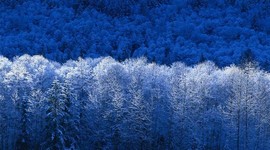 Timeline: Лента веремни