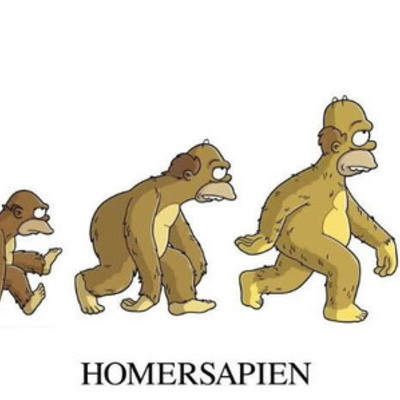 Timeline: personajes celebres de la evolución y teorias previas