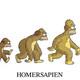 Evolucion homer