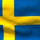 Stock video waving flag of sweden 9249
