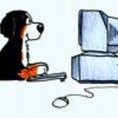 Timeline: Mr Proud is the best