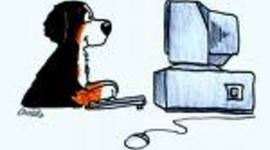 Timeline: Chris's Timeline