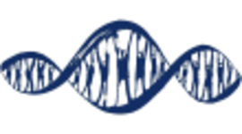 Timeline: A GENETIKA TÖRTÉNETE