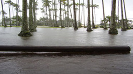 Timeline: Historic Floods in Hawaii