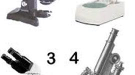 Timeline: Microscope Timeline