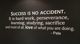 Timeline: Melissa_A_PSY315