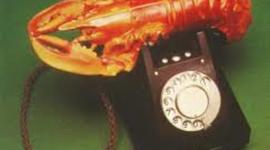 Timeline: Le téléphone