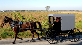 Timeline: Land Transportation