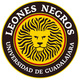 Escudo leones negros