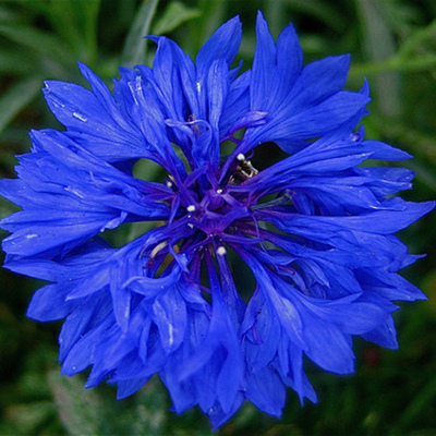 Timeline: Minu elu ajatelg