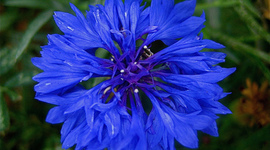 Timeline: Minu elu ajatelg