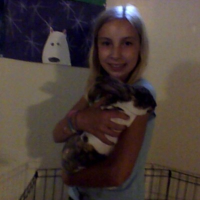 Timeline: LMS 6- Olivia O'Reilly- Timeline