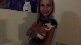 Timeline: LMS 6- Olivia O'Reilly- Timeline