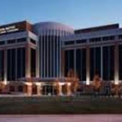 Timeline: LMS6- Payton McGrath - Timeline