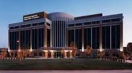 Timeline: LMS6- Payton McGrath - Timeline