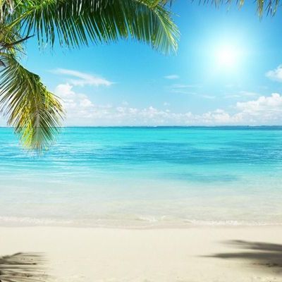 Timeline: Danielle Magri's Geologic Timeline