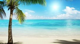 Timeline: Danielle Magri's Geologic Timeline