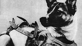 Timeline: RomfartsHistorie Anas