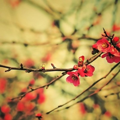 Timeline: Güntheri elu ajatelg.